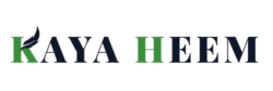 KAYA HEEM | Money, Mindset & Muse